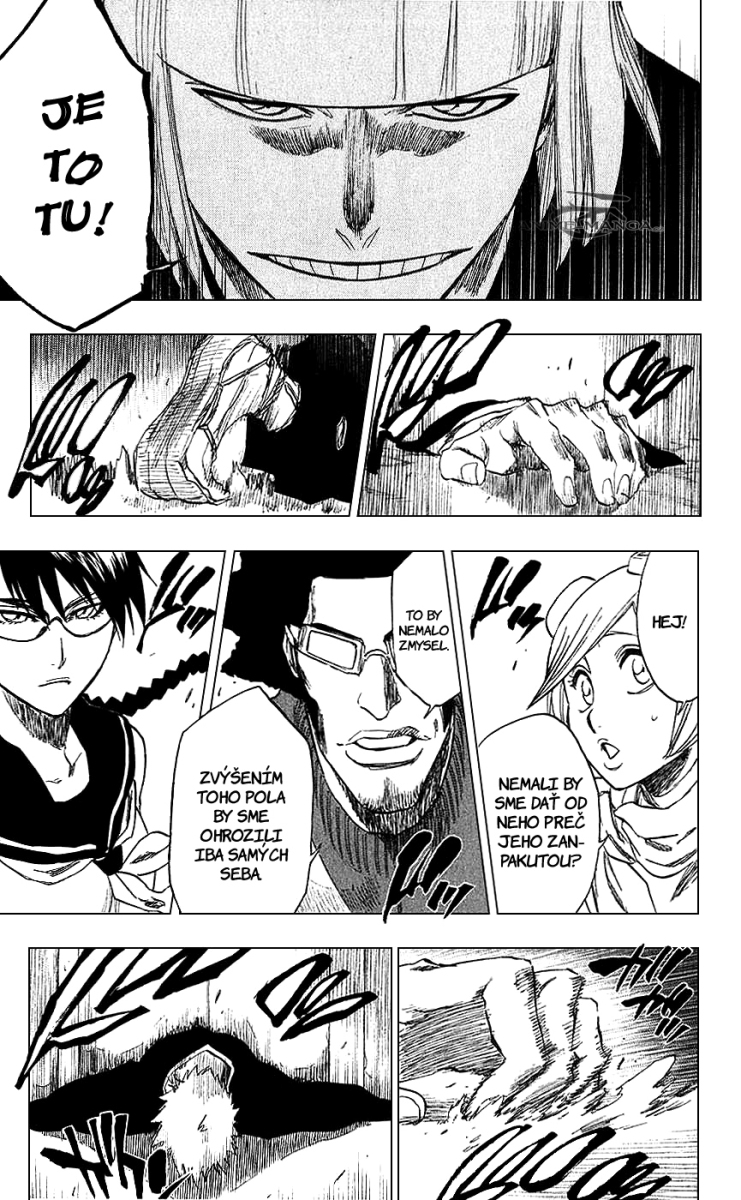 Bleach 218 11 kopie.jpg